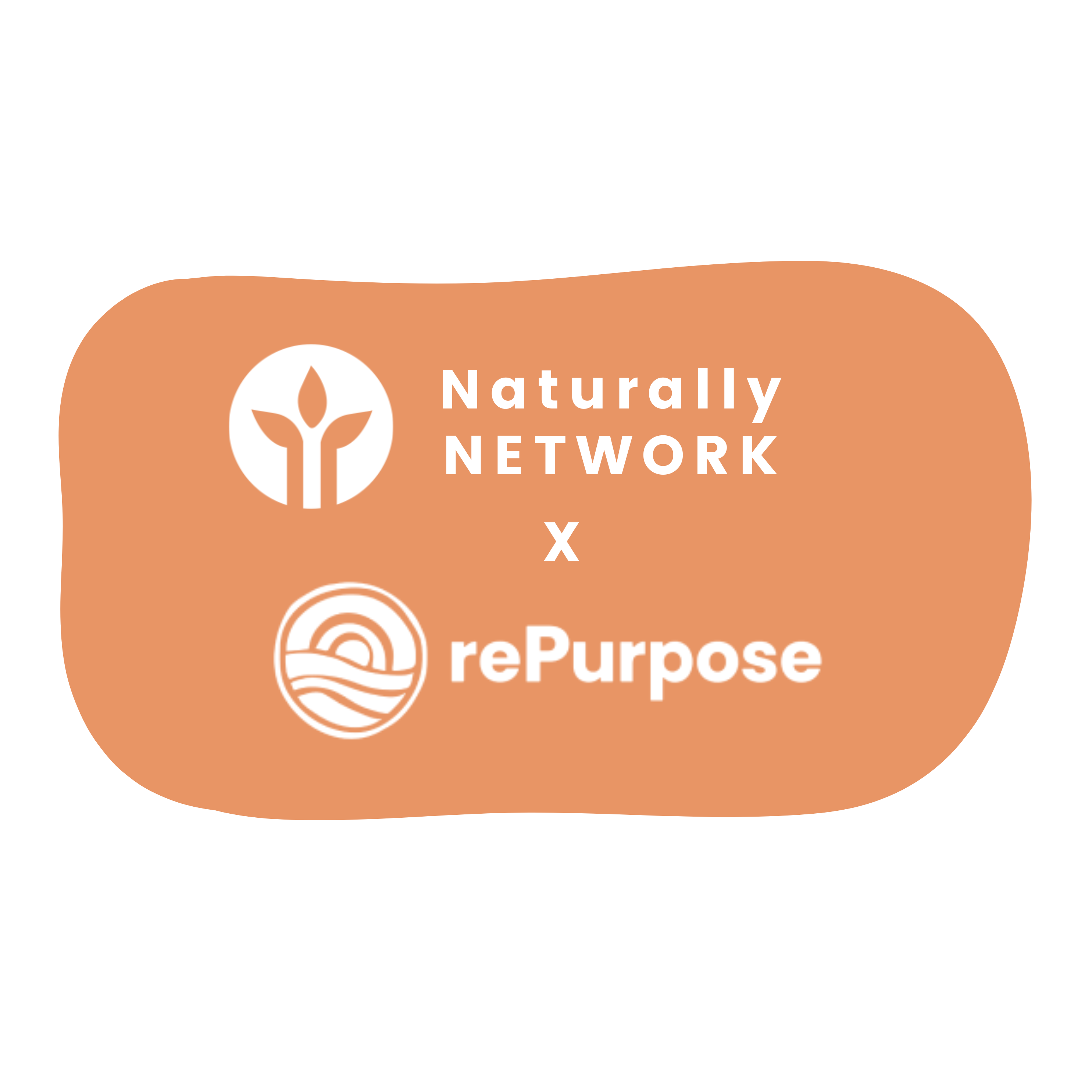 Copy of NN Plastic Action Graphic (3)